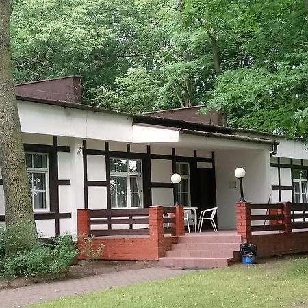 Hostel Dworek Osiecki Koral Osieki  エクステリア 写真